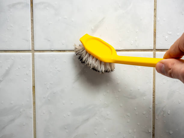 Best Office Mold Removal Services  in Brooklyn Center, MN