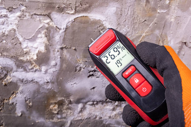 Home Mold Removal in Brooklyn Center, MN