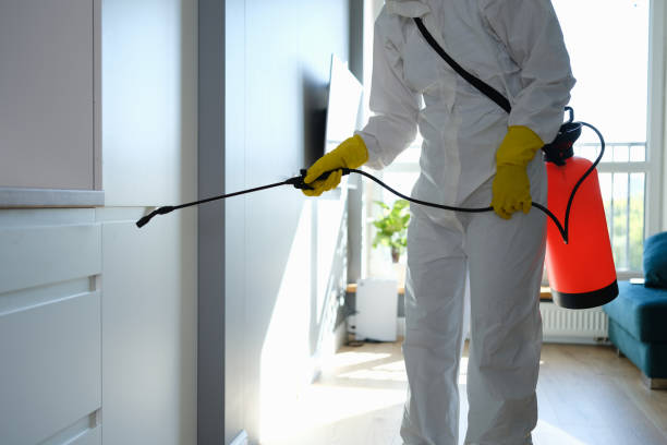 Best Home Mold Removal  in Brooklyn Center, MN
