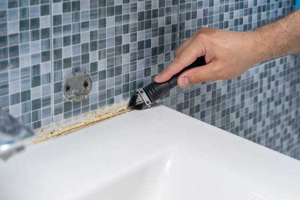 Best Attic Mold Removal  in Brooklyn Center, MN