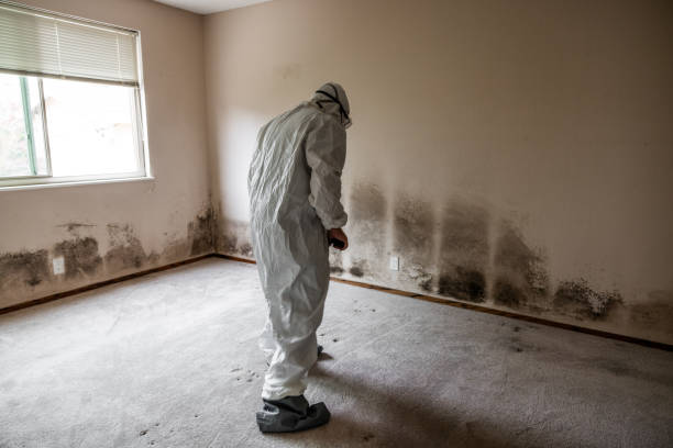 Crawl Space Mold Removal in Brooklyn Center, MN